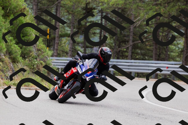 202508161255-_04A1275_c3