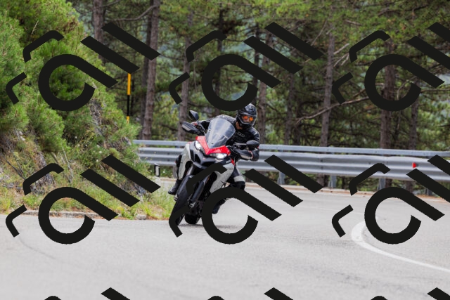 202508161255-_04A1279_c3