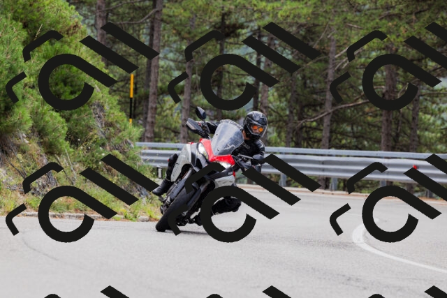 202508161255-_04A1280_c3