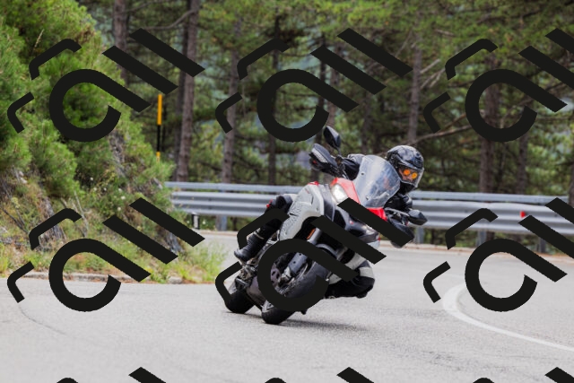 202508161255-_04A1281_c3