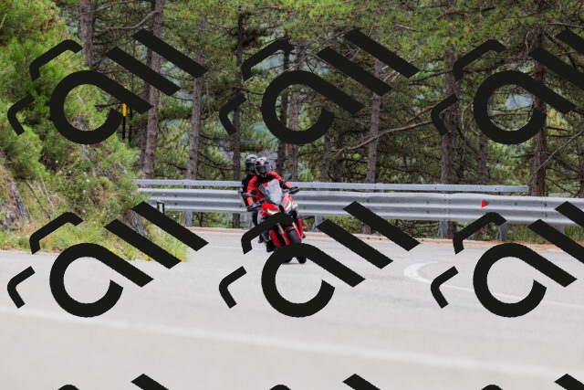 202508161256-_04A1283_c3