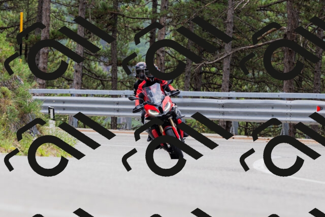 202508161256-_04A1284_c3