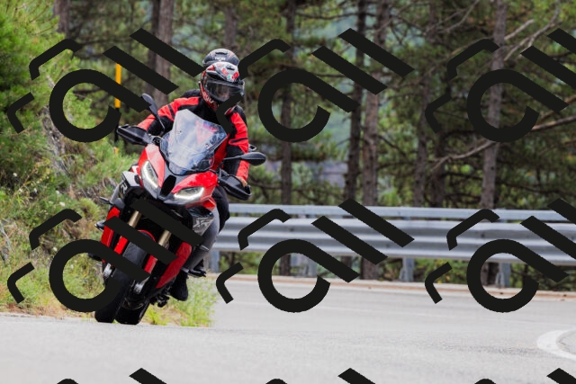 202508161256-_04A1288_c3