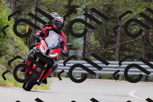 202508161256-_04A1289_c3