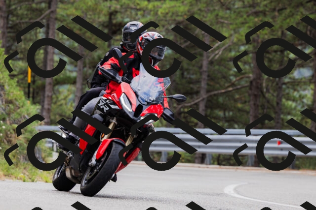 202508161256-_04A1290_c3