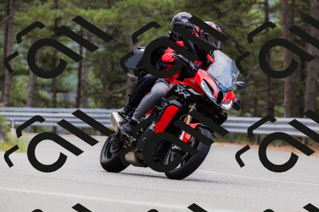 202508161256-_04A1291_c3