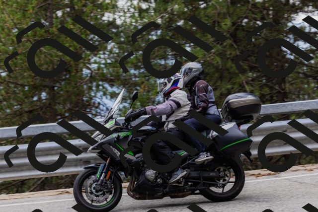 202508161257-_04A1296_c3