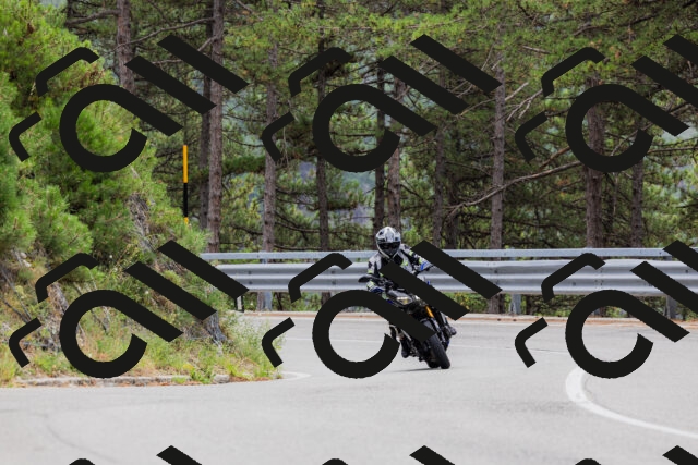 202508161258-_04A1299_c3