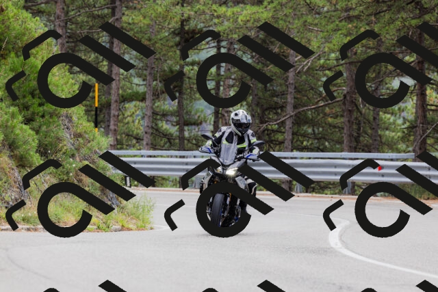 202508161258-_04A1301_c3