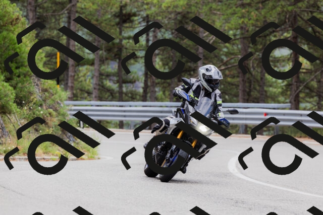 202508161258-_04A1303_c3