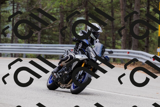 202508161258-_04A1304_c3