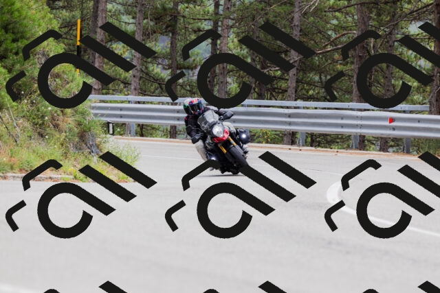 202508161259-_04A1305_c3