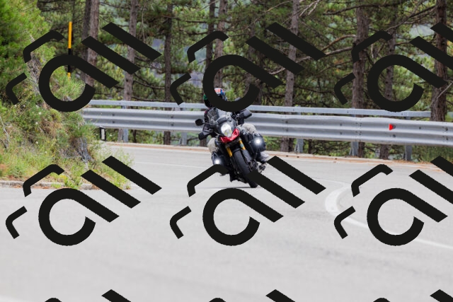 202508161259-_04A1306_c3