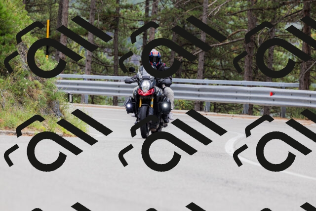 202508161259-_04A1307_c3