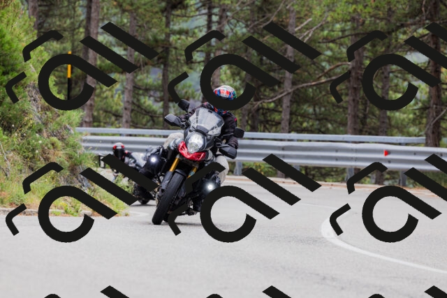 202508161259-_04A1308_c3