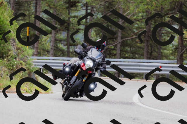 202508161259-_04A1309_c3