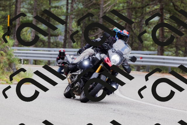 202508161259-_04A1310_c3