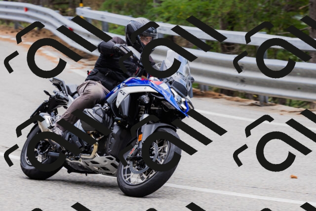 202508161301-_04A1314_c3