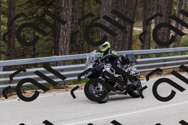 202508161301-_04A1319_c3