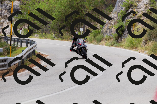 202508161302-_04A1324_c3