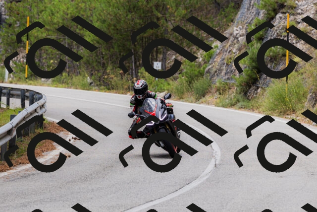 202508161302-_04A1325_c3