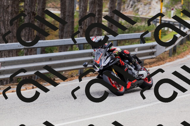 202508161302-_04A1327_c3