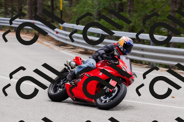 202508161302-_04A1334_c3