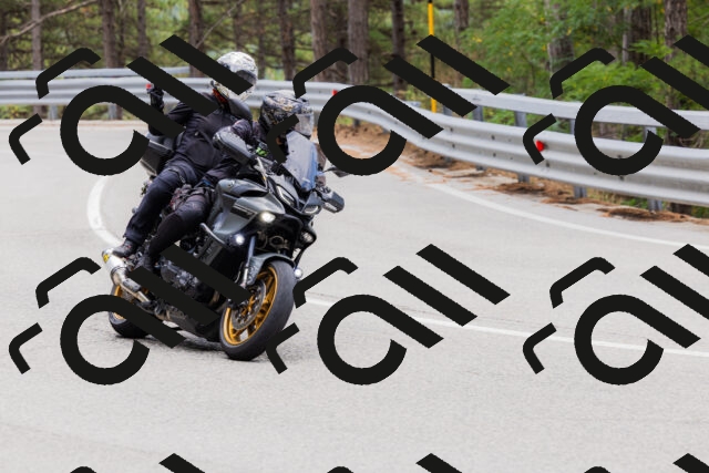 202508161302-_04A1338_c3