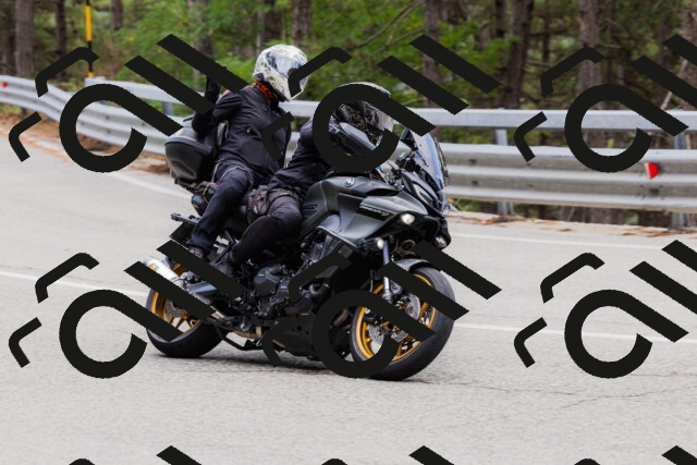 202508161302-_04A1339_c3