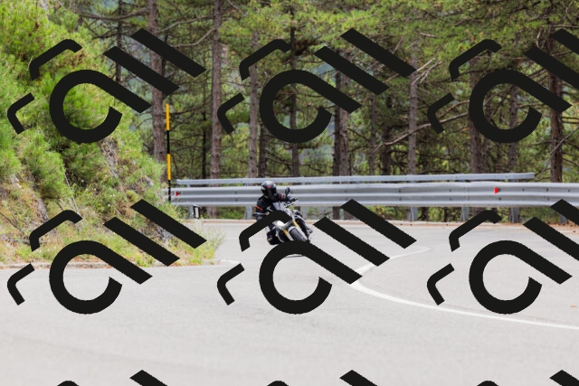 202508161303-_04A1341_c3