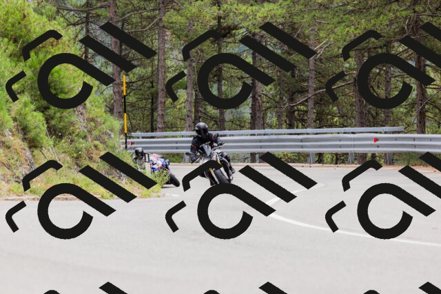 202508161303-_04A1342_c3