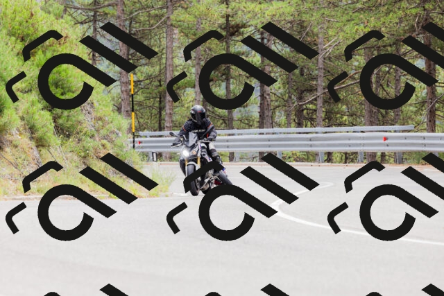 202508161303-_04A1343_c3