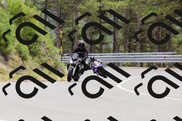 202508161303-_04A1344_c3