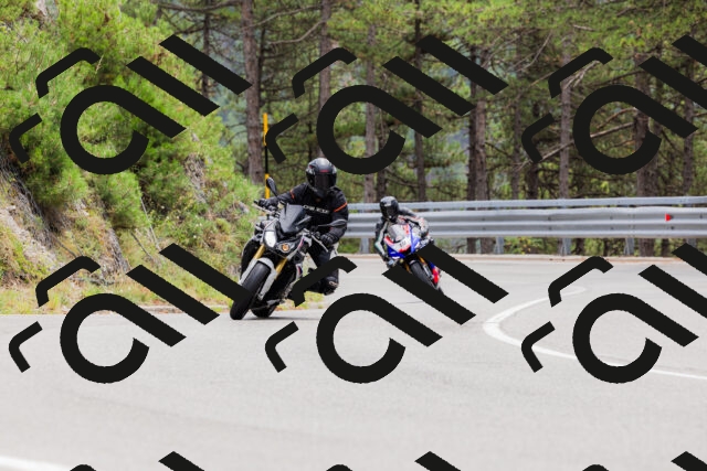 202508161303-_04A1345_c3