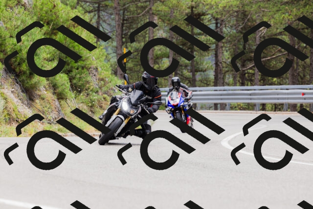 202508161303-_04A1346_c3