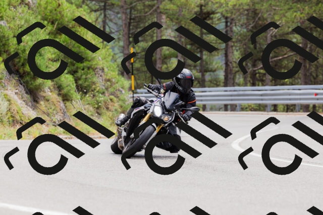 202508161303-_04A1347_c3