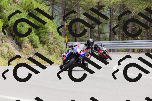 202508161303-_04A1349_c3