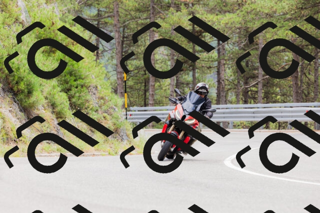 202508161303-_04A1353_c3