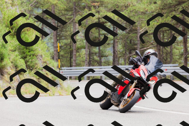 202508161303-_04A1355_c3