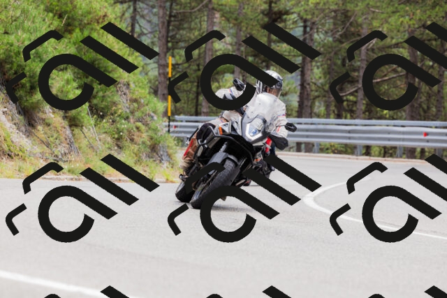 202508161304-_04A1361_c3