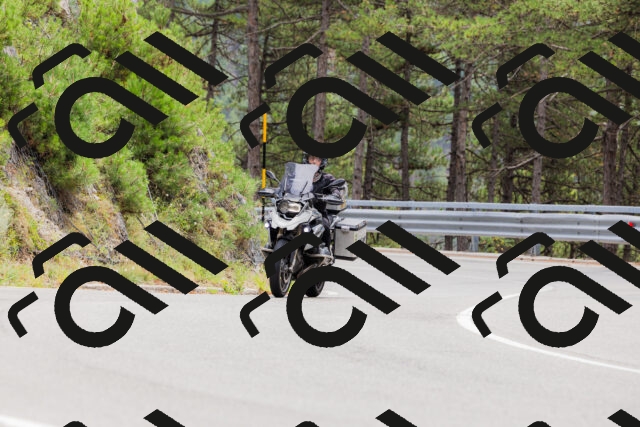 202508161304-_04A1365_c3