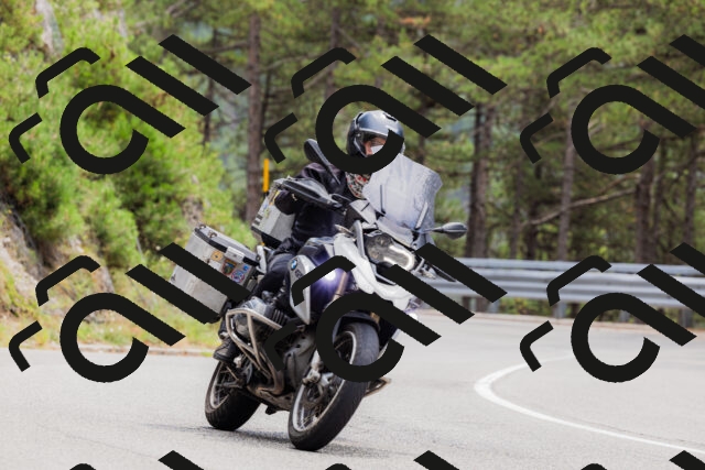 202508161304-_04A1370_c3