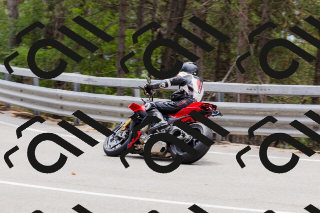 202508161306-_04A1372_c3