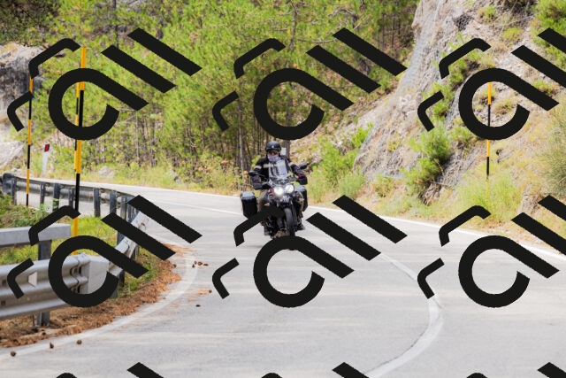 202508161306-_04A1373_c3