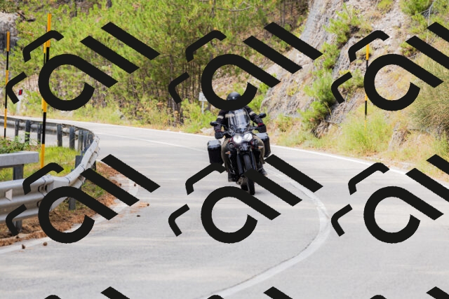 202508161306-_04A1375_c3