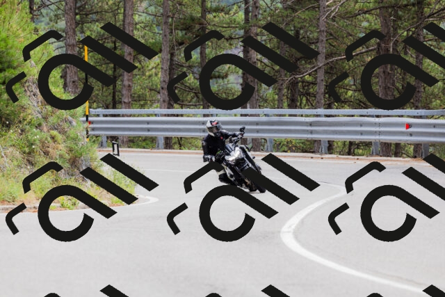 202508161306-_04A1377_c3