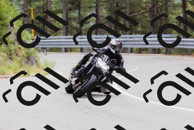 202508161306-_04A1381_c3