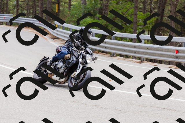 202508161307-_04A1402_c3