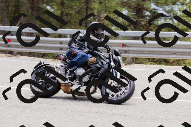 202508161307-_04A1403_c3