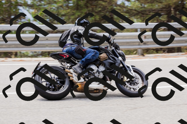 202508161307-_04A1404_c3